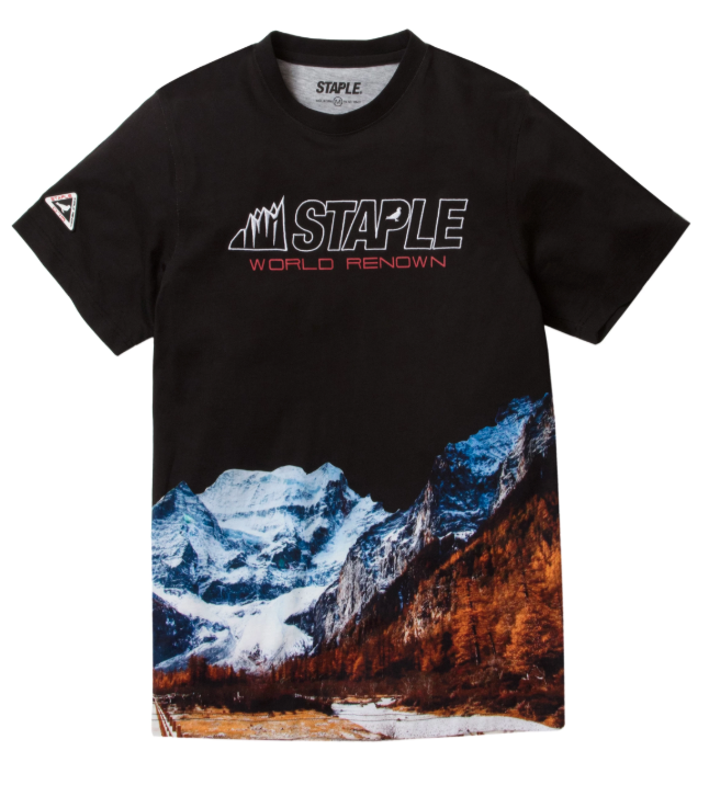Staple Pigeon Expedition Logo Tee | Hype Vault Kuala Lumpur | Asia's Top Trusted High-End Sneakers and Streetwear Store