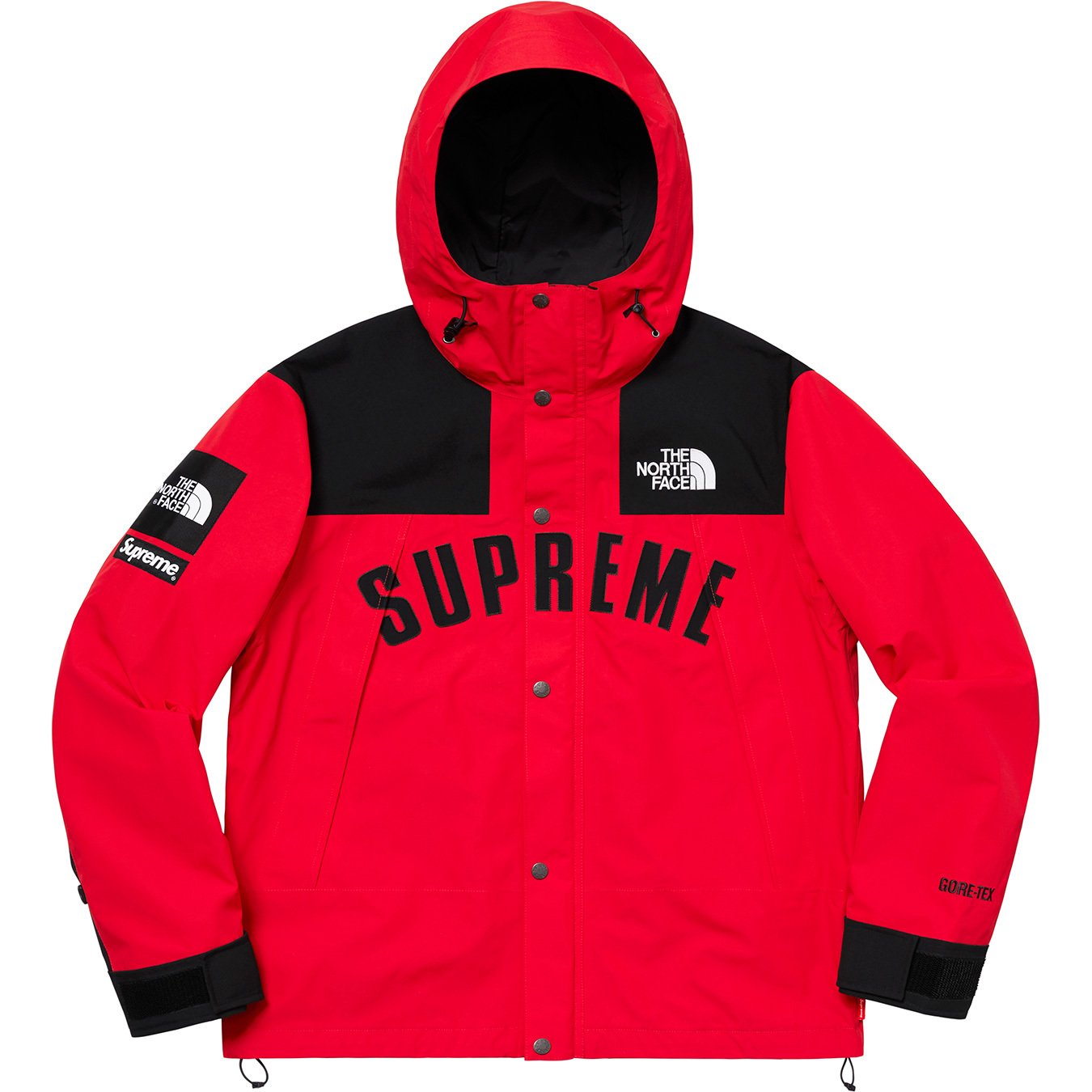 Supreme the north face arc logo